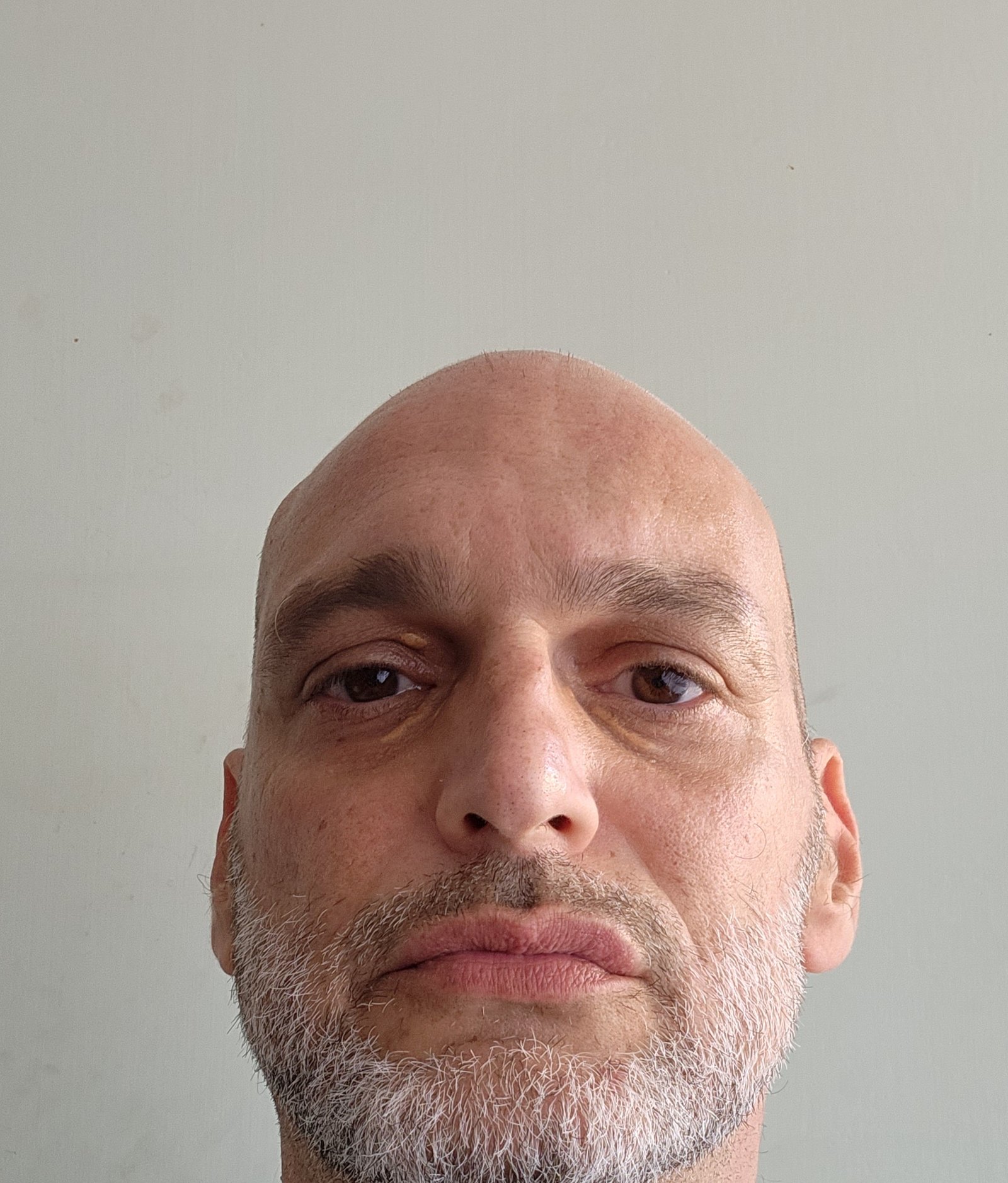 Frontal reference photograph